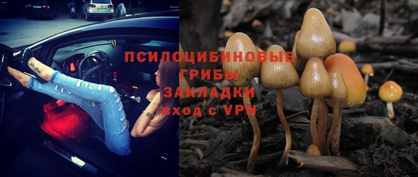 прущая мука Арсеньев